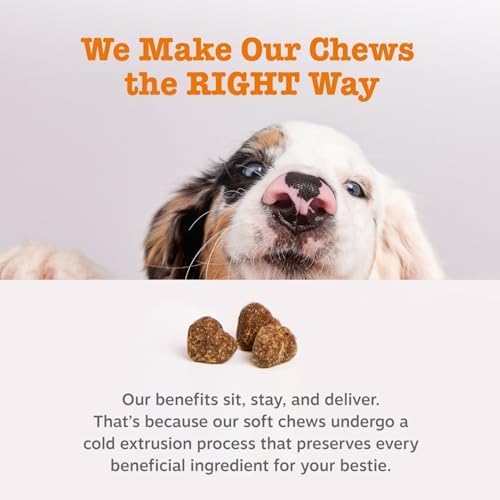Premium Dog Probiotics Chews™