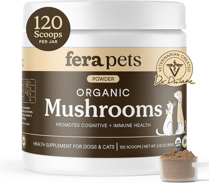 Premium Mushroom Wellness Blend™ (Copy)