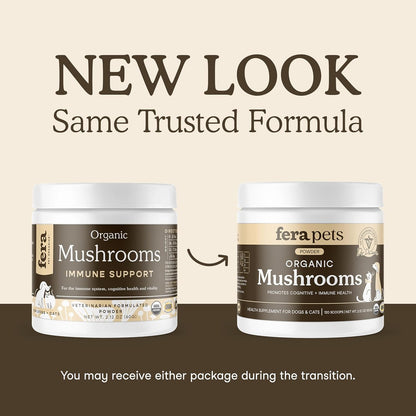 Premium Mushroom Wellness Blend™ (Copy)