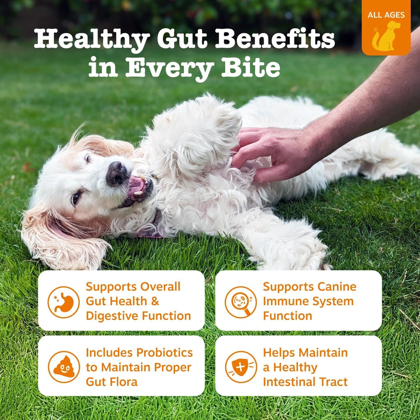 Premium Dog Probiotics Chews™